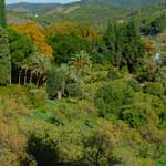 Die Vegetation im botanischen Garten ist wie im Regenwald.